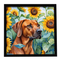 Rhodesian Ridgeback in Sunflowers Framed Metal Print Bathroom, Kitchen, Office, Home Decor Wall Art Ready to Hang, Square, 8X8