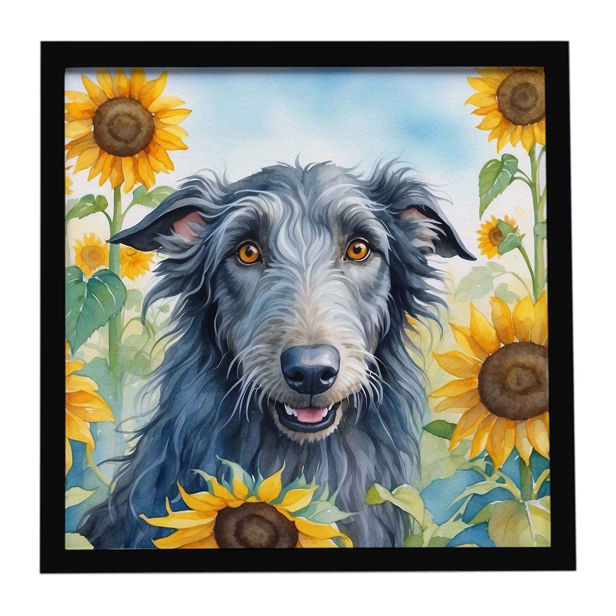 Scottish Deerhound in Sunflowers Framed Metal Print Bathroom, Kitchen, Office, Home Decor Wall Art Ready to Hang, Square, 8X8