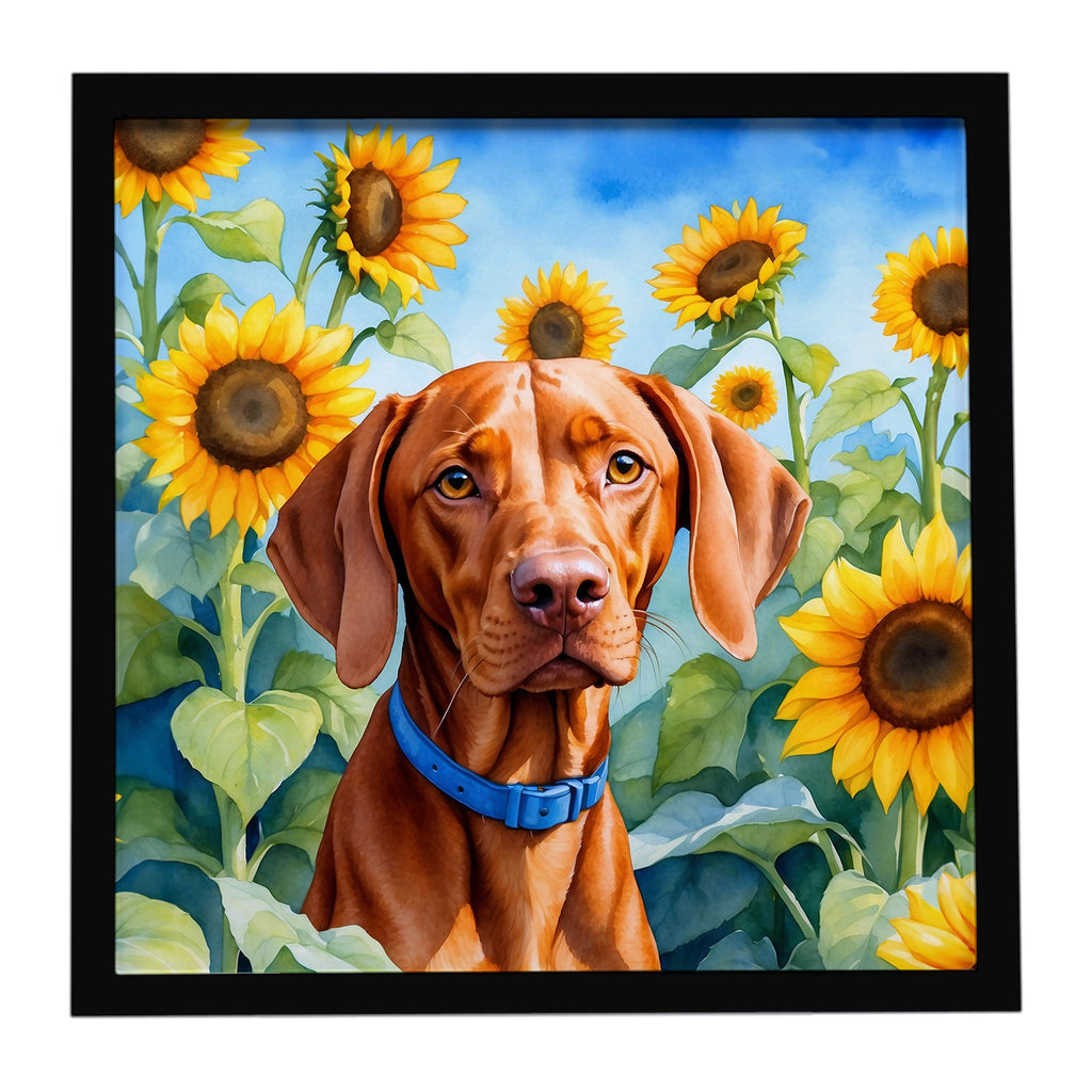 Vizsla in Sunflowers Framed Metal Print Bathroom, Kitchen, Office, Home Decor Wall Art Ready to Hang, Square, 8X8
