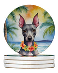 American Hairless Terrier Luau Large Sandstone Coasters Pack of 4 Absorbent Round Coasters Decor Gifts for Men or Women, 4 in, Multicolor
