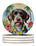 German Wirehaired Pointer Luau Large Sandstone Coasters Pack of 4 Absorbent Round Coasters Decor Gifts for Men or Women, 4 in, Multicolor