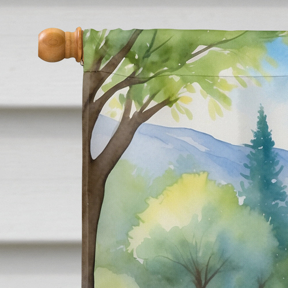 Afghan Hound Spring Garden House Flag 28x40 Porch Sleeve Pole Decorative Outside Yard Banner Artwork Wall Hanging, Polyester