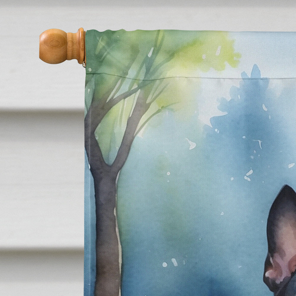Boston Terrier Spring Path House Flag 28x40 Porch Sleeve Pole Decorative Outside Yard Banner Artwork Wall Hanging, Polyester