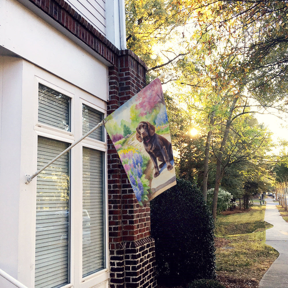 Boykin Spaniel Spring Path House Flag 28x40 Porch Sleeve Pole Decorative Outside Yard Banner Artwork Wall Hanging, Polyester