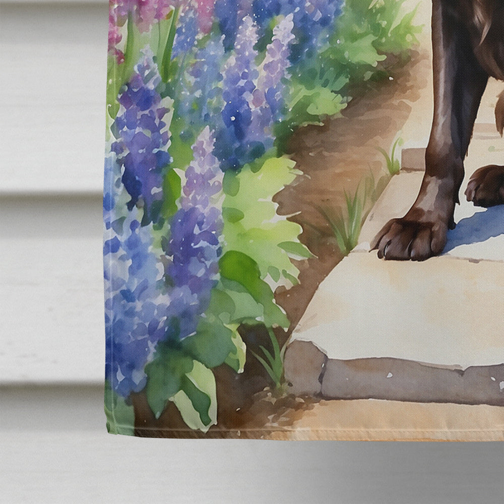 Boykin Spaniel Spring Path House Flag 28x40 Porch Sleeve Pole Decorative Outside Yard Banner Artwork Wall Hanging, Polyester