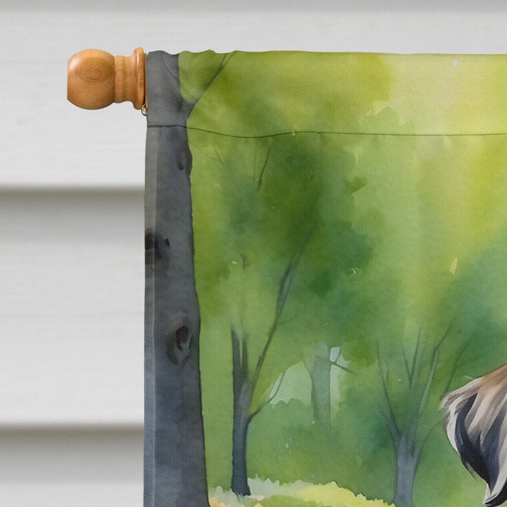 Brussels Griffon Spring Path House Flag 28x40 Porch Sleeve Pole Decorative Outside Yard Banner Artwork Wall Hanging, Polyester