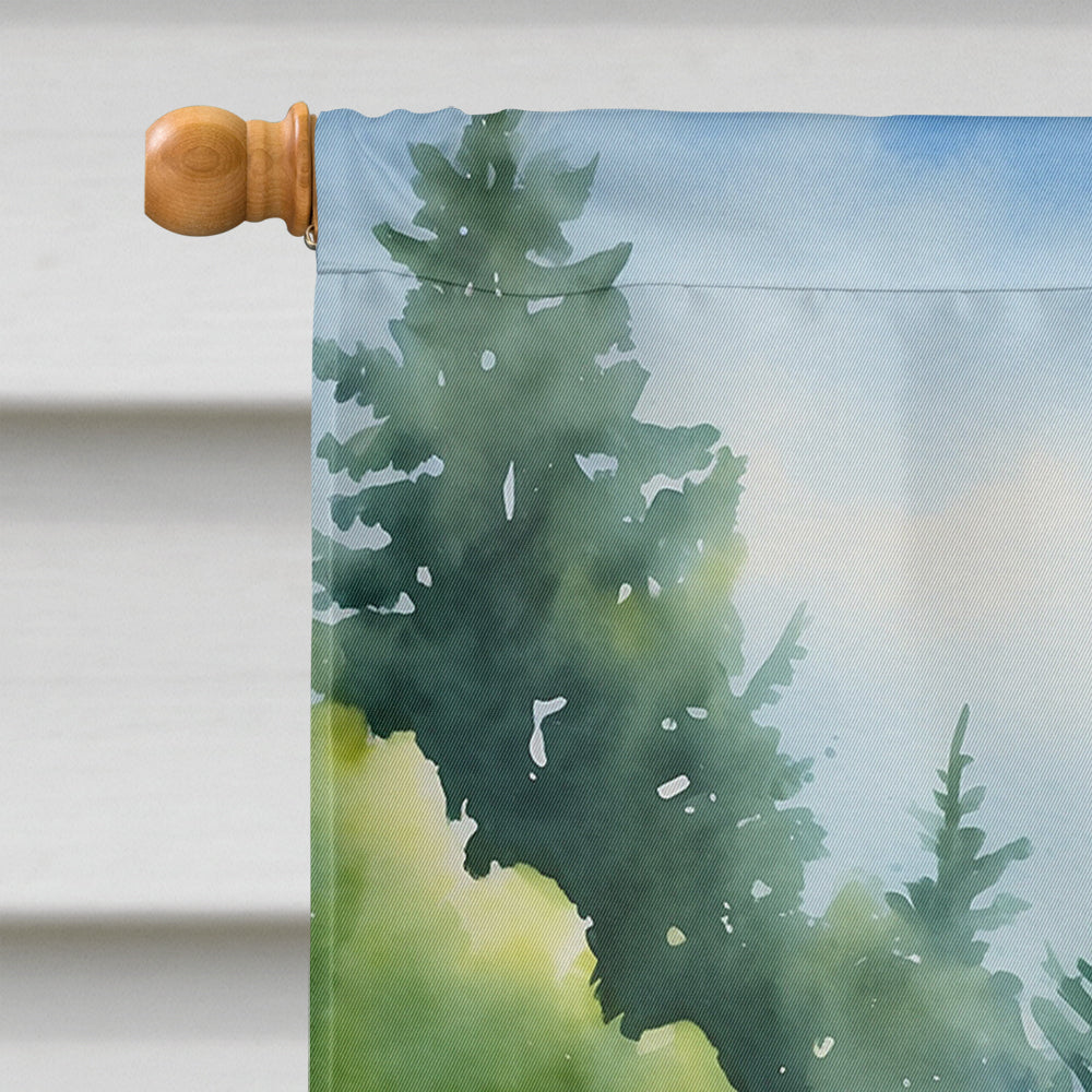 Cane Corso Spring Path House Flag 28x40 Porch Sleeve Pole Decorative Outside Yard Banner Artwork Wall Hanging, Polyester