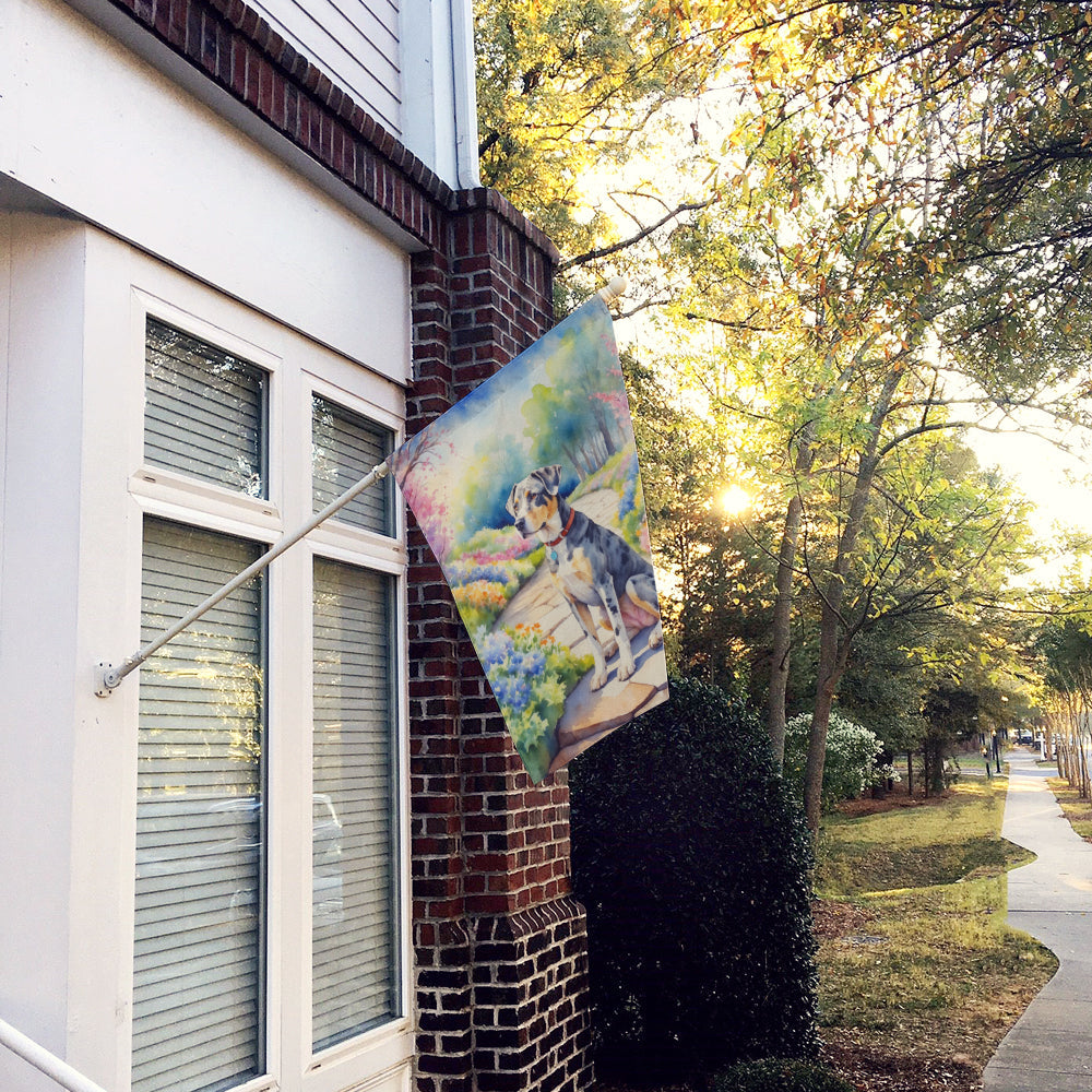 Catahoula Spring Path House Flag 28x40 Porch Sleeve Pole Decorative Outside Yard Banner Artwork Wall Hanging, Polyester