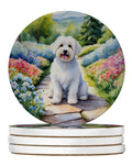 Coton de Tulear Spring Path Large Sandstone Coasters Pack of 4 Absorbent Round Coasters Decor Gifts for Men or Women, 4 in, Multicolor