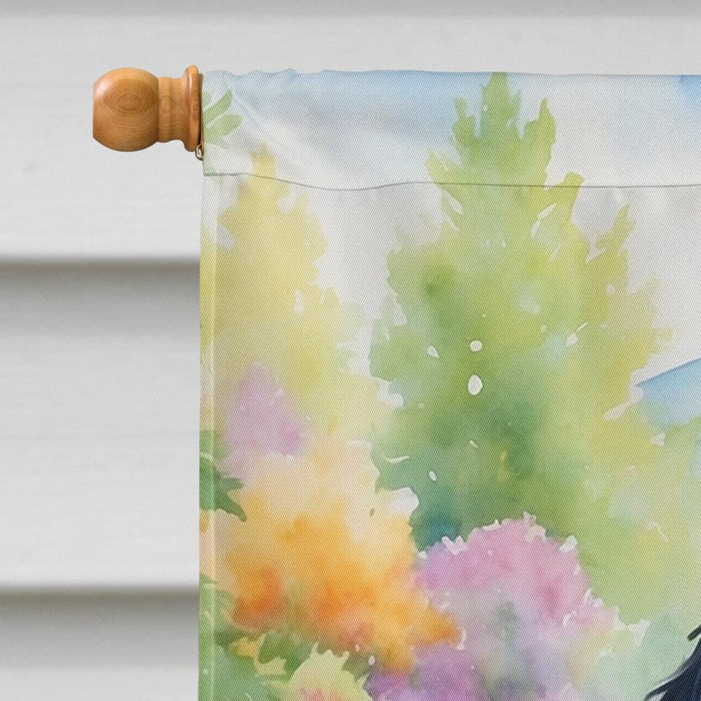 Gordon Setter Spring Path House Flag 28x40 Porch Sleeve Pole Decorative Outside Yard Banner Artwork Wall Hanging, Polyester