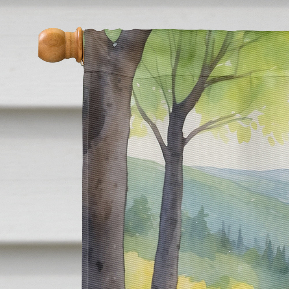 Labrador Retriever Spring Path House Flag 28x40 Porch Sleeve Pole Decorative Outside Yard Banner Artwork Wall Hanging, Polyester