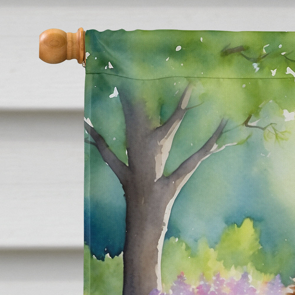 Norwich Terrier Spring Path House Flag 28x40 Porch Sleeve Pole Decorative Outside Yard Banner Artwork Wall Hanging, Polyester
