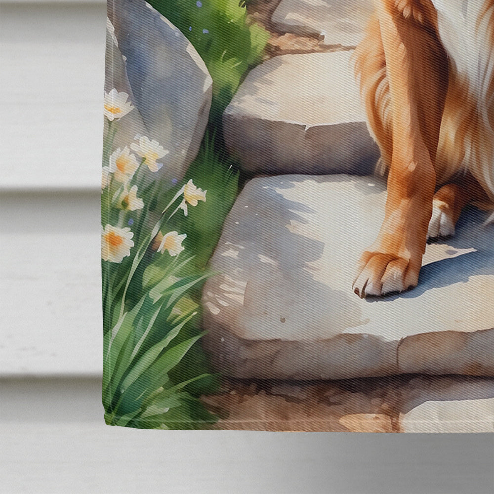Nova Scotia Duck Tolling Retriever Spring Path House Flag 28x40 Porch Sleeve Pole Decorative Outside Yard Banner Artwork Wall Hanging, Polyester