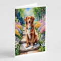 Nova Scotia Duck Tolling Retriever Spring Path Greeting Cards Pack of 8 Blank Cards with Envelopes Whimsical A7 Size 5x7