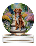 Nova Scotia Duck Tolling Retriever Spring Path Large Sandstone Coasters Pack of 4 Absorbent Round Coasters Decor Gifts for Men or Women, 4 in, Multicolor