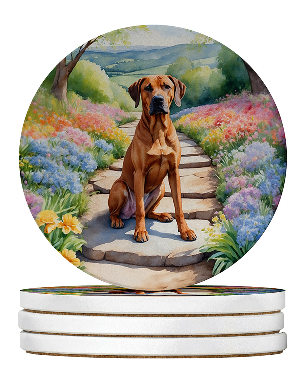 Rhodesian Ridgeback Spring Path Large Sandstone Coasters Pack of 4 Absorbent Round Coasters Decor Gifts for Men or Women, 4 in, Multicolor