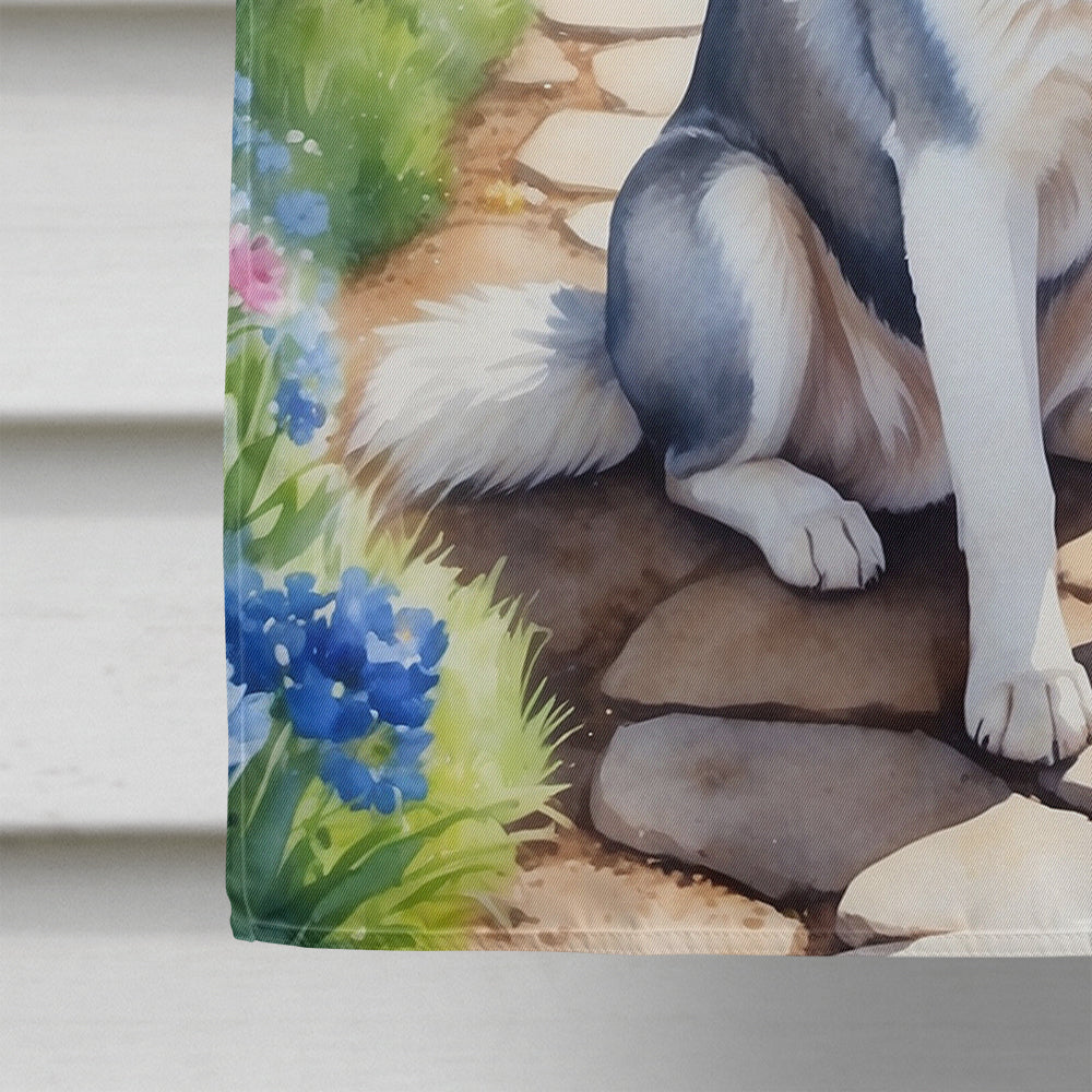 Siberian Husky Spring Path House Flag 28x40 Porch Sleeve Pole Decorative Outside Yard Banner Artwork Wall Hanging, Polyester