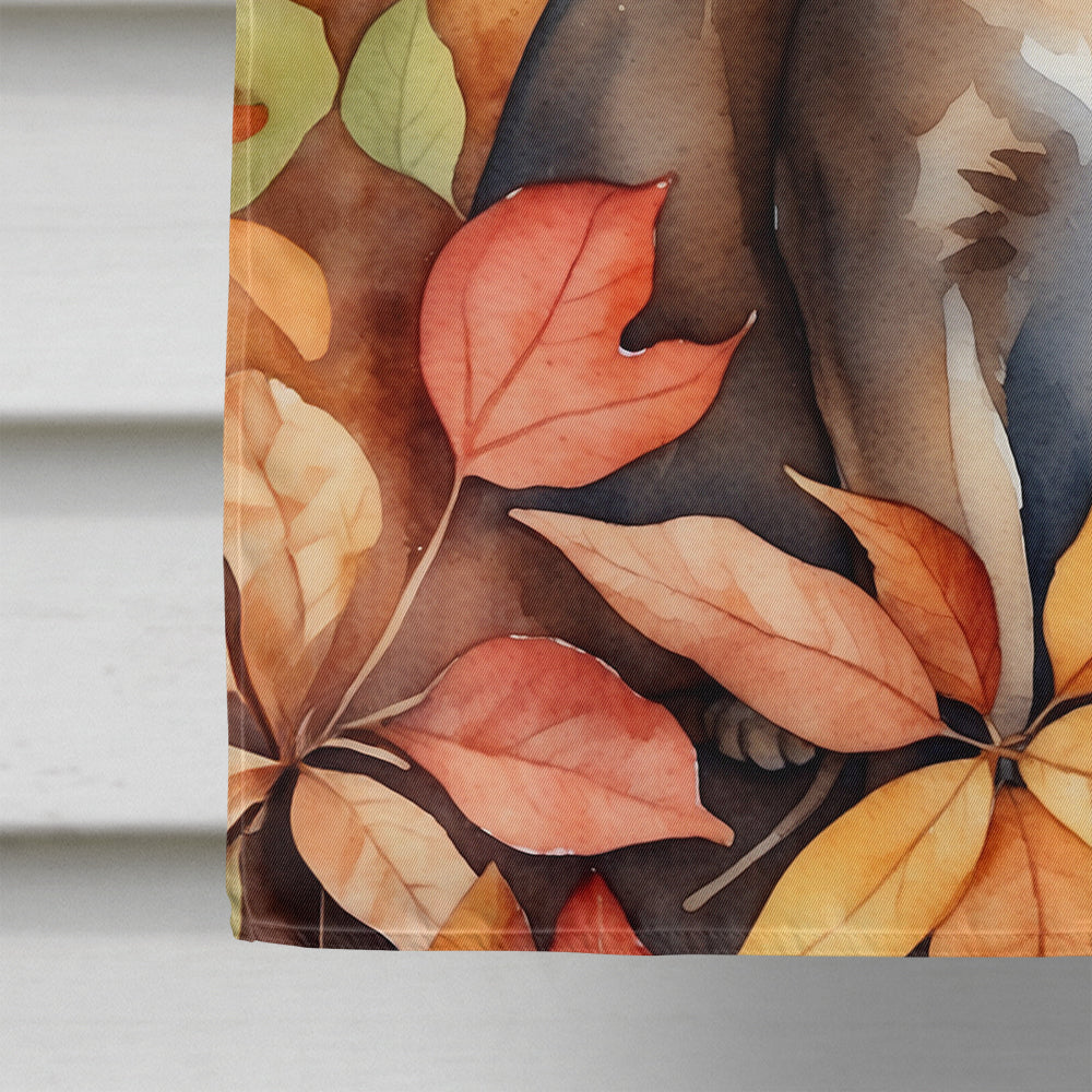 Abyssinian Cat in Fall Leaves House Flag 28x40 Porch Sleeve Pole Decorative Outside Yard Banner Artwork Wall Hanging, Polyester