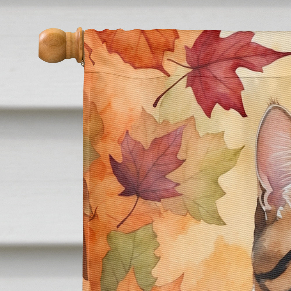 American Polydactyl Cat in Fall Leaves House Flag 28x40 Porch Sleeve Pole Decorative Outside Yard Banner Artwork Wall Hanging, Polyester