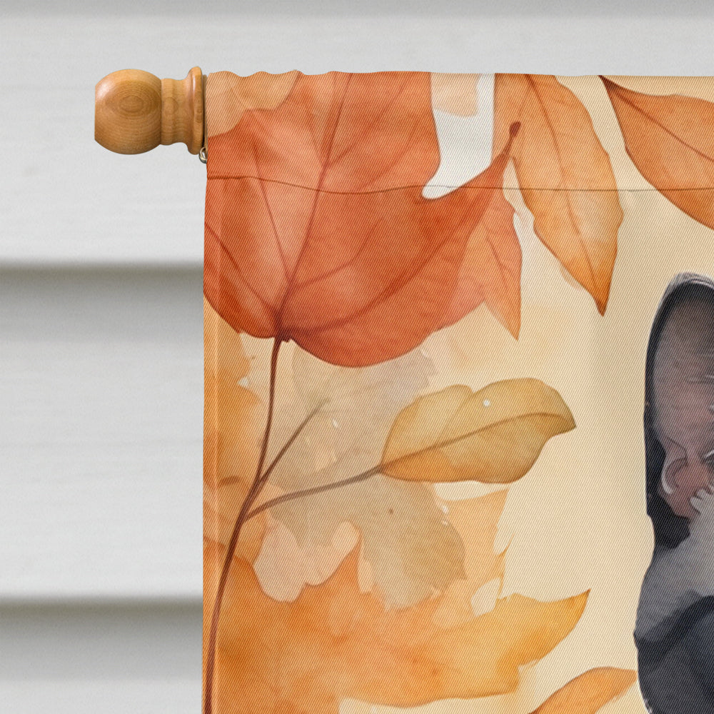 Asian Cat in Fall Leaves House Flag 28x40 Porch Sleeve Pole Decorative Outside Yard Banner Artwork Wall Hanging, Polyester