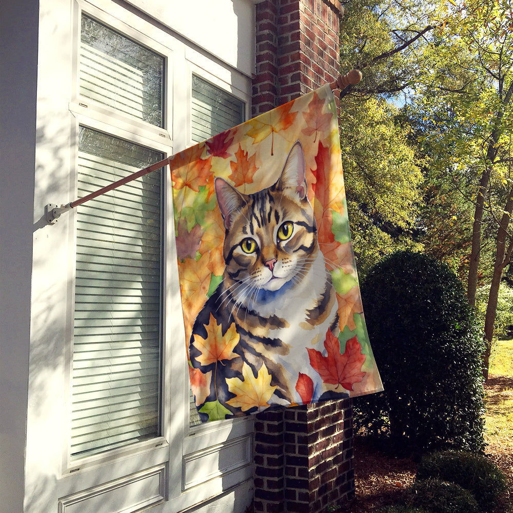 California Spangled Cat in Fall Leaves House Flag 28x40 Porch Sleeve Pole Decorative Outside Yard Banner Artwork Wall Hanging, Polyester