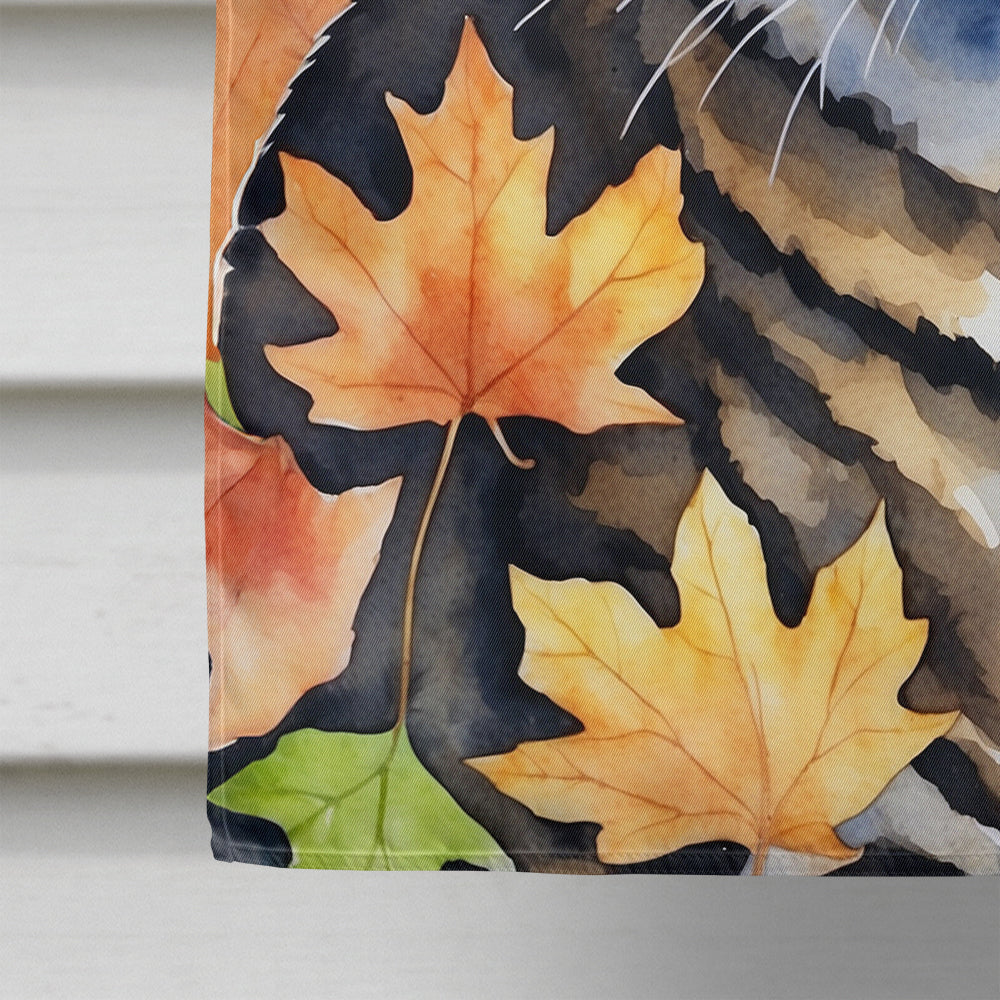 California Spangled Cat in Fall Leaves House Flag 28x40 Porch Sleeve Pole Decorative Outside Yard Banner Artwork Wall Hanging, Polyester