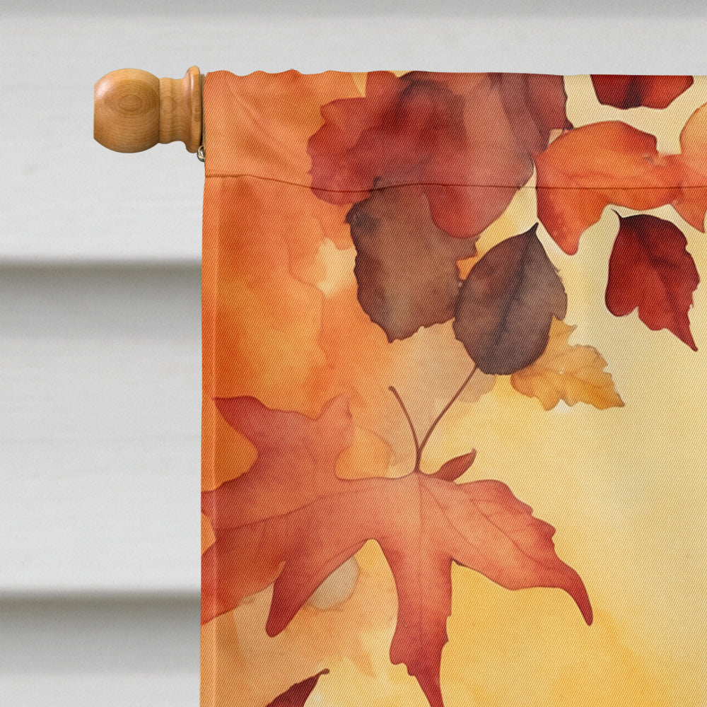 Cymric Cat in Fall Leaves House Flag 28x40 Porch Sleeve Pole Decorative Outside Yard Banner Artwork Wall Hanging, Polyester