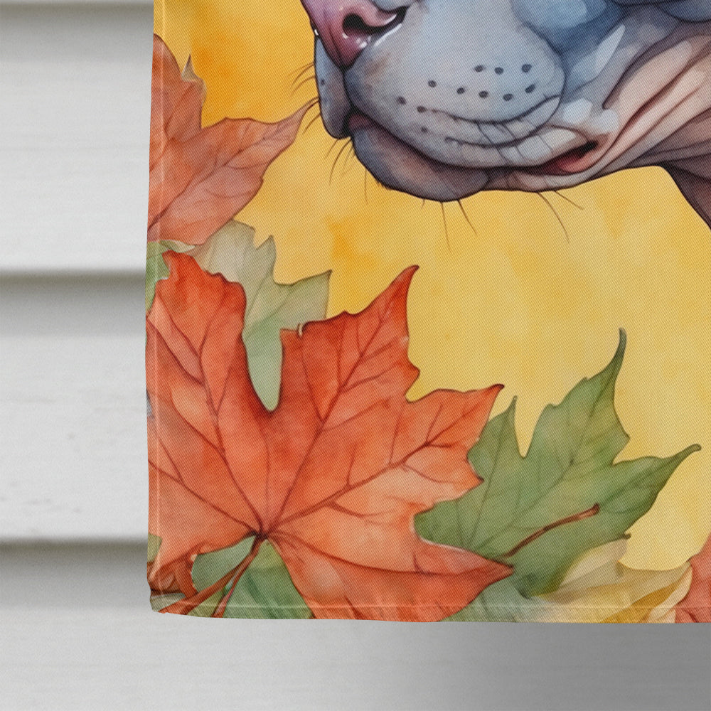Donskoy Don Sphynx Cat in Fall Leaves House Flag 28x40 Porch Sleeve Pole Decorative Outside Yard Banner Artwork Wall Hanging, Polyester