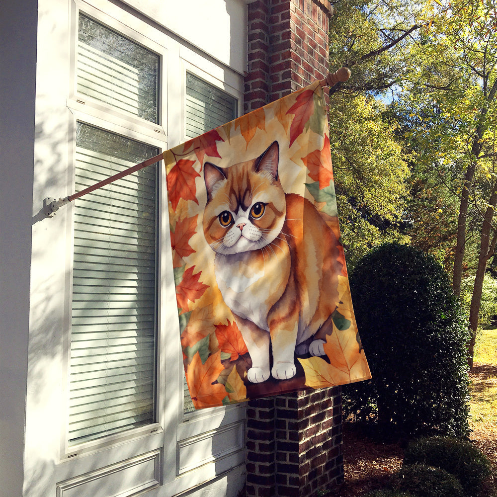 Exotic Shorthair Cat in Fall Leaves House Flag 28x40 Porch Sleeve Pole Decorative Outside Yard Banner Artwork Wall Hanging, Polyester