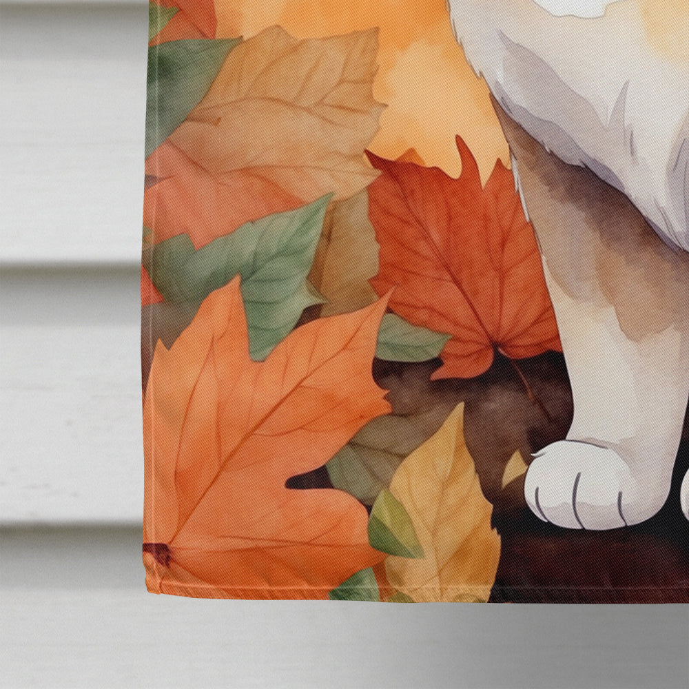 Exotic Shorthair Cat in Fall Leaves House Flag 28x40 Porch Sleeve Pole Decorative Outside Yard Banner Artwork Wall Hanging, Polyester