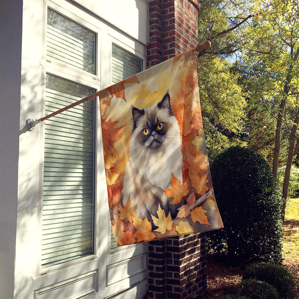 Himalayan Cat in Fall Leaves House Flag 28x40 Porch Sleeve Pole Decorative Outside Yard Banner Artwork Wall Hanging, Polyester