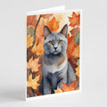 Korat Cat in Fall Leaves Greeting Cards Pack of 8 Blank Cards with Envelopes Whimsical A7 Size 5x7