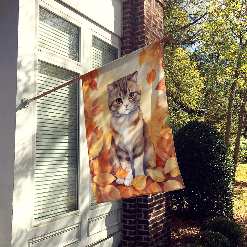 Scottish Fold Cat in Fall Leaves House Flag 28x40 Porch Sleeve Pole Decorative Outside Yard Banner Artwork Wall Hanging, Polyester
