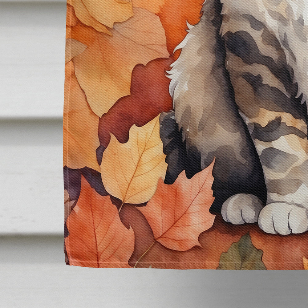 Selkirk Rex Cat in Fall Leaves House Flag 28x40 Porch Sleeve Pole Decorative Outside Yard Banner Artwork Wall Hanging, Polyester