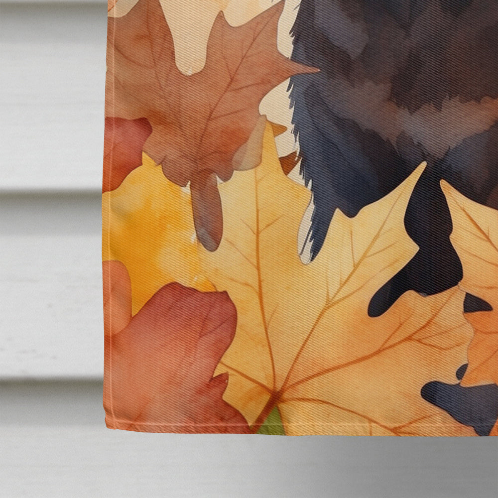 York Chocolate Cat in Fall Leaves House Flag 28x40 Porch Sleeve Pole Decorative Outside Yard Banner Artwork Wall Hanging, Polyester