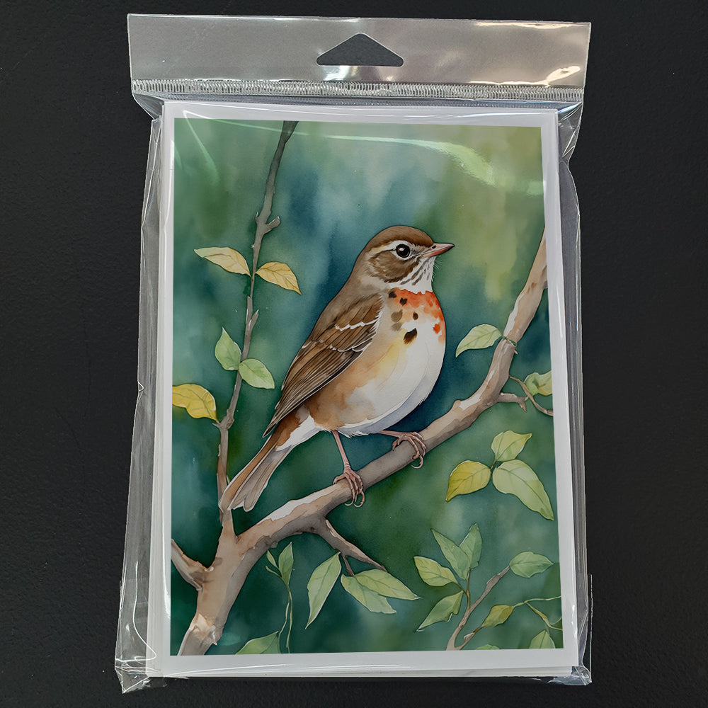 Vermont Hermit Thrush Greeting Cards Pack of 8 Blank Cards with Envelopes Whimsical A7 Size 5x7