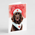 Newfoundland Get Well Soon Greeting Cards Pack of 8 Blank Cards with Envelopes Whimsical A7 Size 5x7