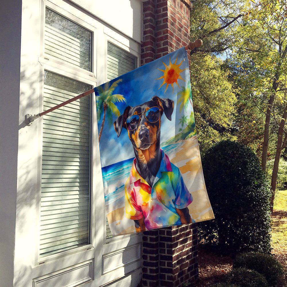 Doberman Pinscher Summer Beach Time House Flag 28x40 Porch Sleeve Pole Decorative Outside Yard Banner Artwork Wall Hanging, Polyester