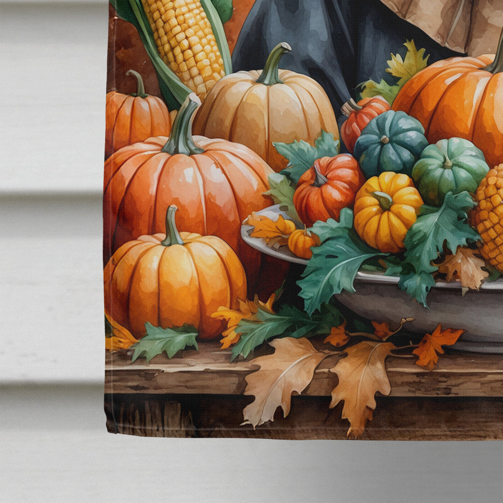 Border Collie Thanksgiving House Flag 28x40 Porch Sleeve Pole Decorative Outside Yard Banner Artwork Wall Hanging, Polyester