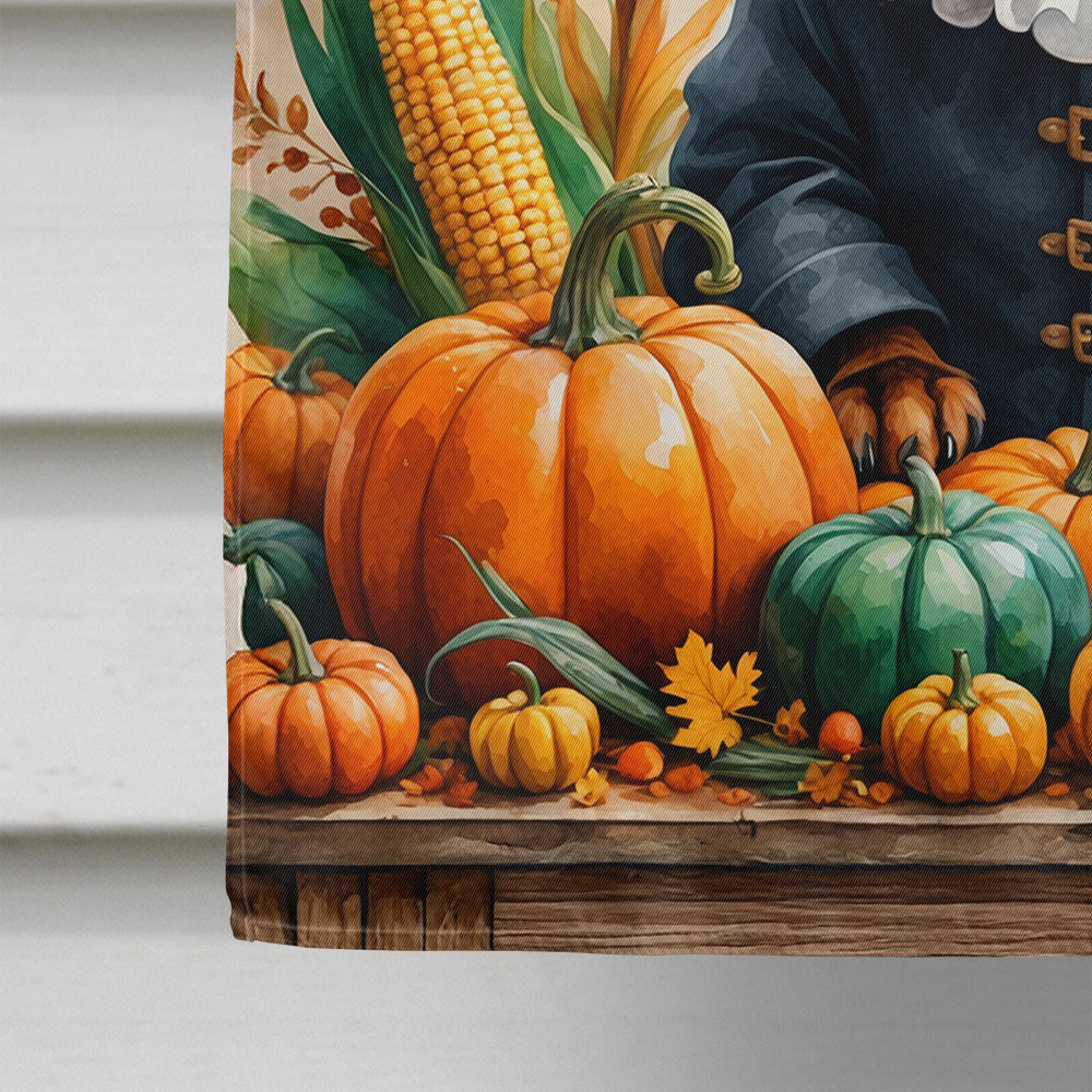 Chocolate Dachshund Thanksgiving House Flag 28x40 Porch Sleeve Pole Decorative Outside Yard Banner Artwork Wall Hanging, Polyester