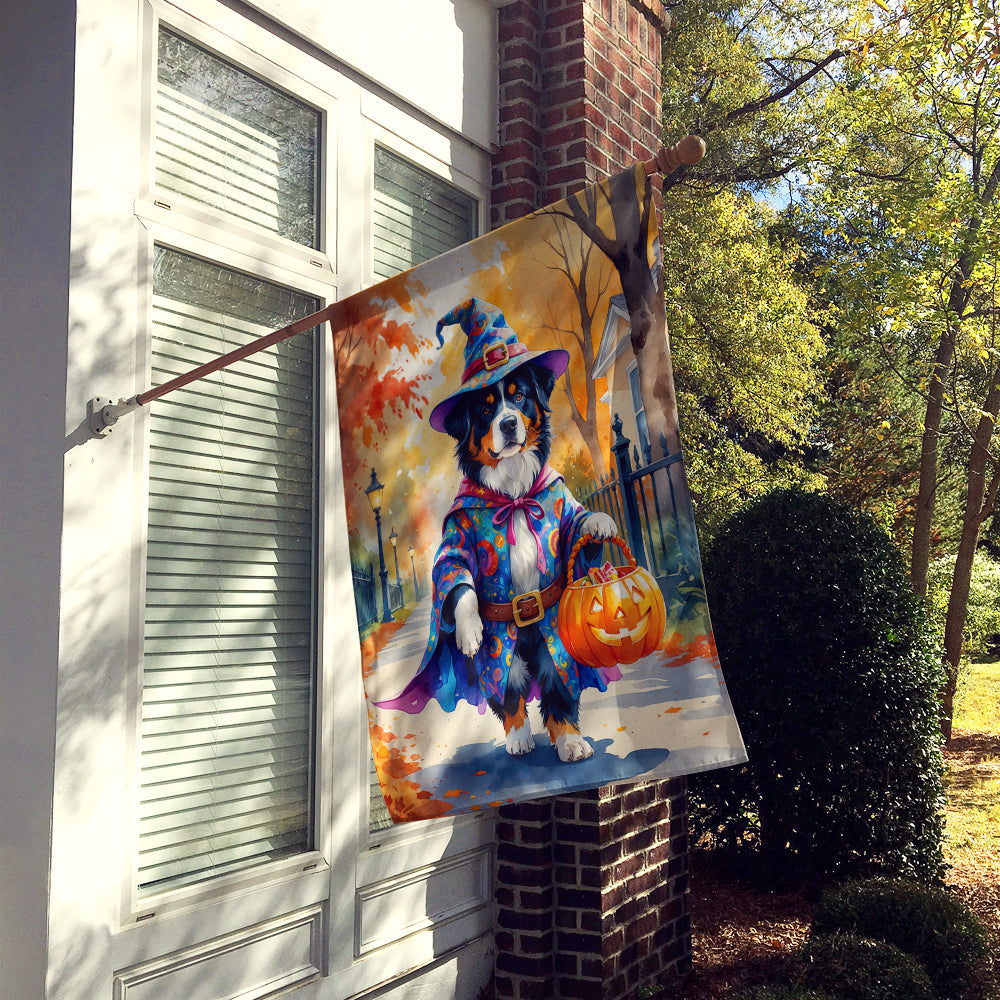 Bernese Mountain Dog Halloween Trick or Treat House Flag 28x40 Porch Sleeve Pole Decorative Outside Yard Banner Artwork Wall Hanging, Polyester