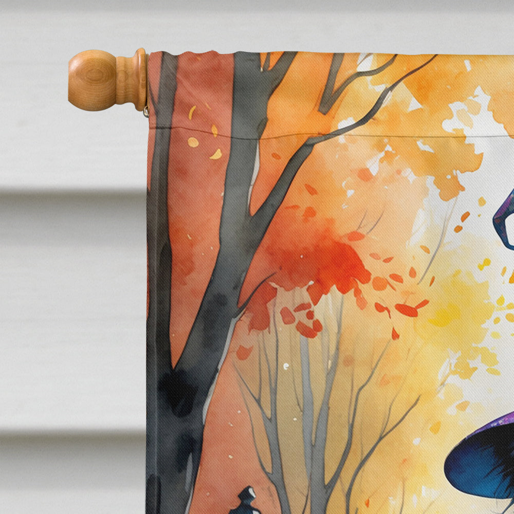 Border Collie Halloween Trick or Treat House Flag 28x40 Porch Sleeve Pole Decorative Outside Yard Banner Artwork Wall Hanging, Polyester