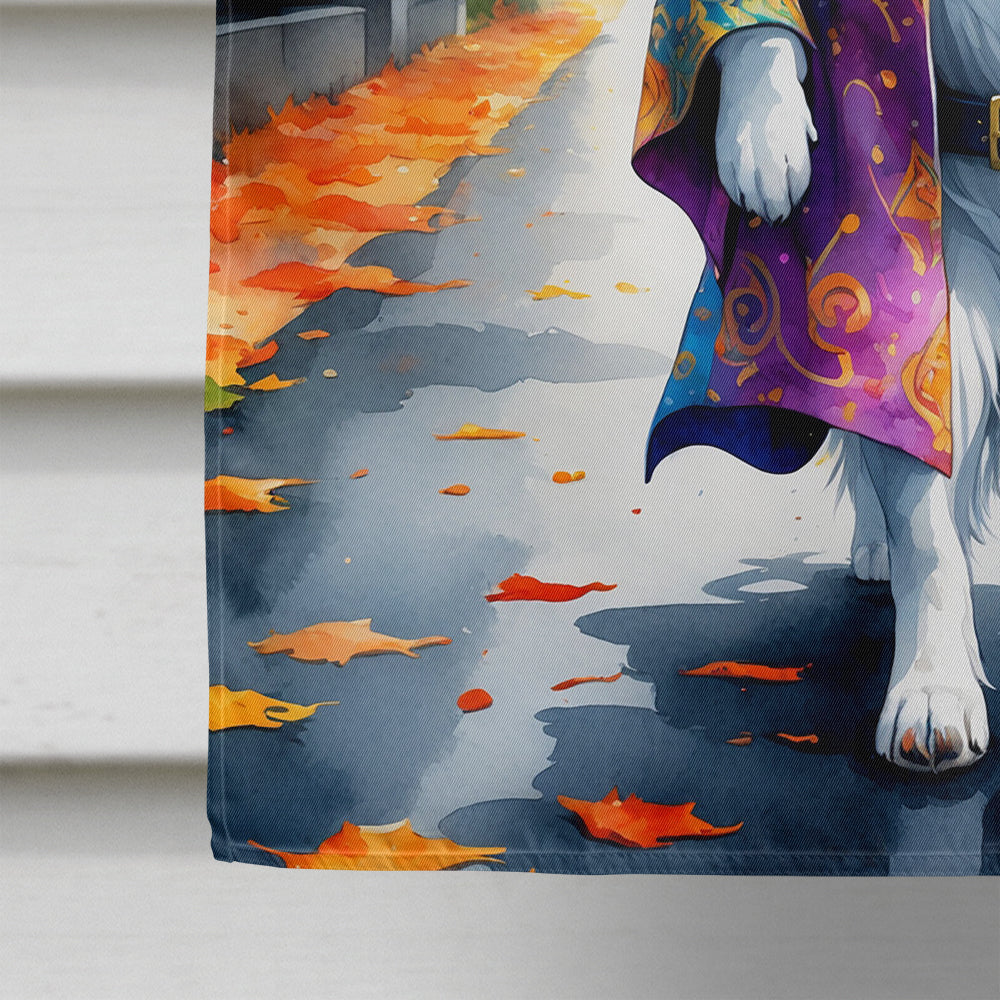 Border Collie Halloween Trick or Treat House Flag 28x40 Porch Sleeve Pole Decorative Outside Yard Banner Artwork Wall Hanging, Polyester
