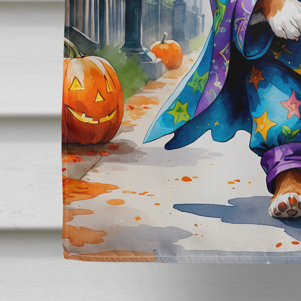 Cavalier Spaniel Halloween Trick or Treat House Flag 28x40 Porch Sleeve Pole Decorative Outside Yard Banner Artwork Wall Hanging, Polyester