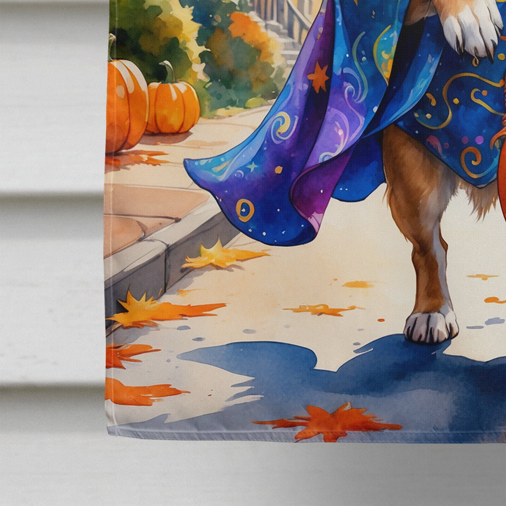 Chihuahua Halloween Trick or Treat House Flag 28x40 Porch Sleeve Pole Decorative Outside Yard Banner Artwork Wall Hanging, Polyester