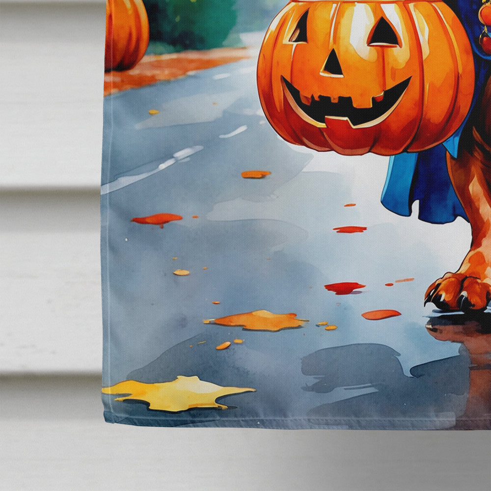 Red Dachshund Halloween Trick or Treat House Flag 28x40 Porch Sleeve Pole Decorative Outside Yard Banner Artwork Wall Hanging, Polyester
