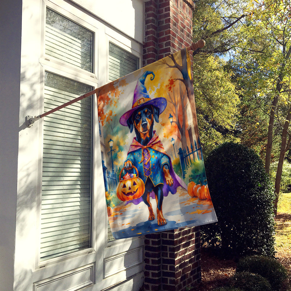 Doberman Pinscher Halloween Trick or Treat House Flag 28x40 Porch Sleeve Pole Decorative Outside Yard Banner Artwork Wall Hanging, Polyester