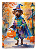 German Wirehaired Pointer Halloween Trick or Treat House Flag 28x40 Porch Sleeve Pole Decorative Outside Yard Banner Artwork Wall Hanging, Polyester