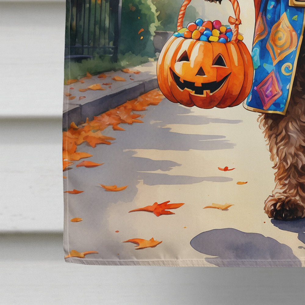 Chocolate Labradoodle Halloween Trick or Treat House Flag 28x40 Porch Sleeve Pole Decorative Outside Yard Banner Artwork Wall Hanging, Polyester