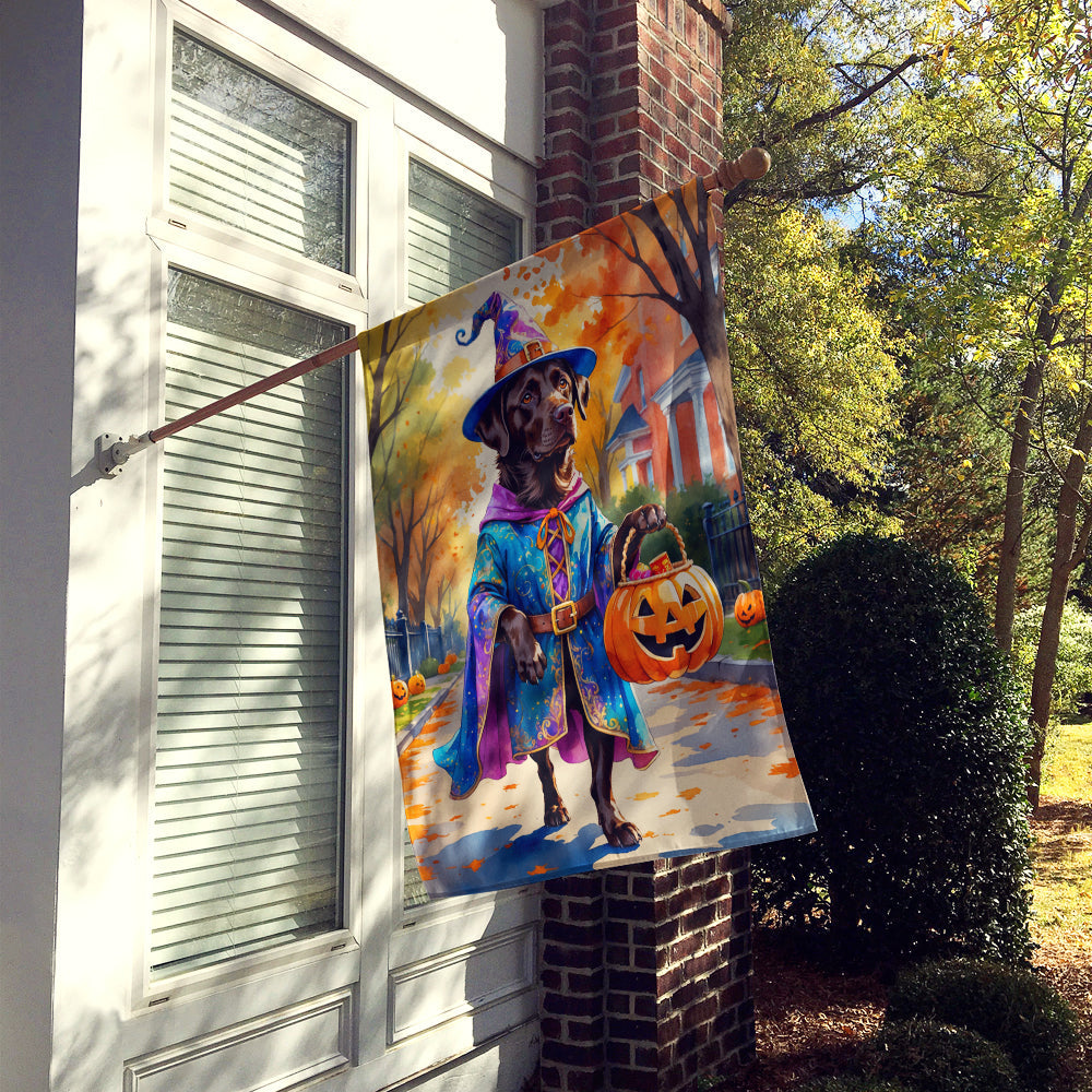 Chocolate Labrador Retriever Halloween Trick or Treat House Flag 28x40 Porch Sleeve Pole Decorative Outside Yard Banner Artwork Wall Hanging, Polyester